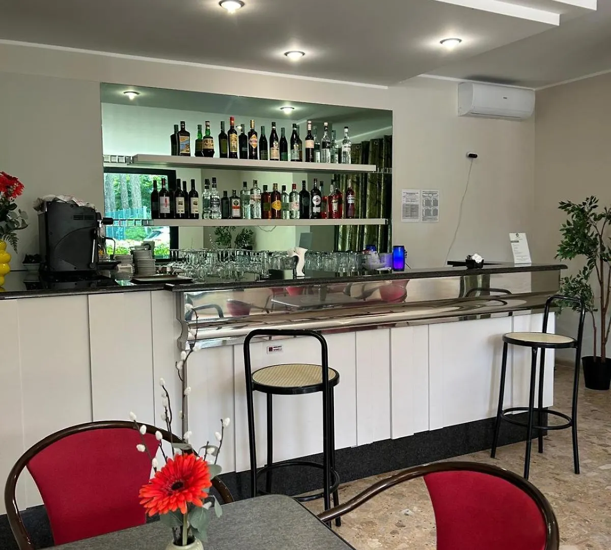 Hotel Ines Cesenatico
